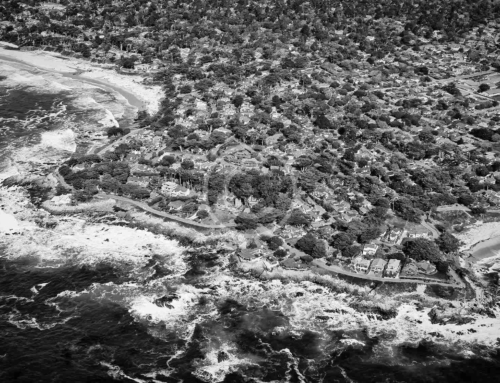 Auto Follow Drone Sample Footage